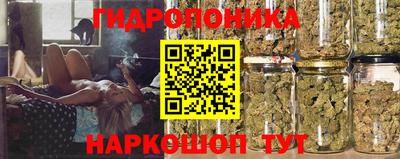 молекула духа Среднеуральск