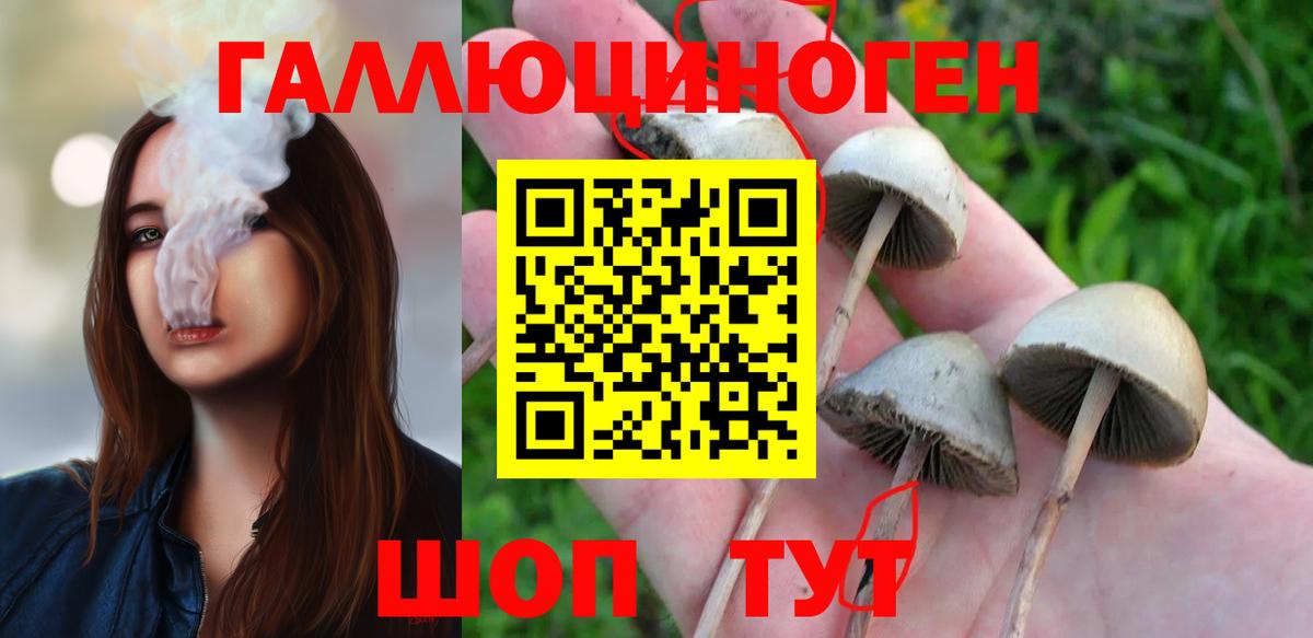 Богданович  Галлюциногенные грибы мицелий  Вход с VPN 