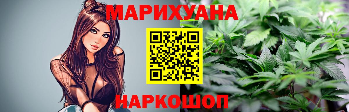Каннабис сатива Богданович